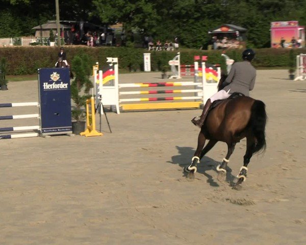 Reitturnier Vlotho-Exter 2024