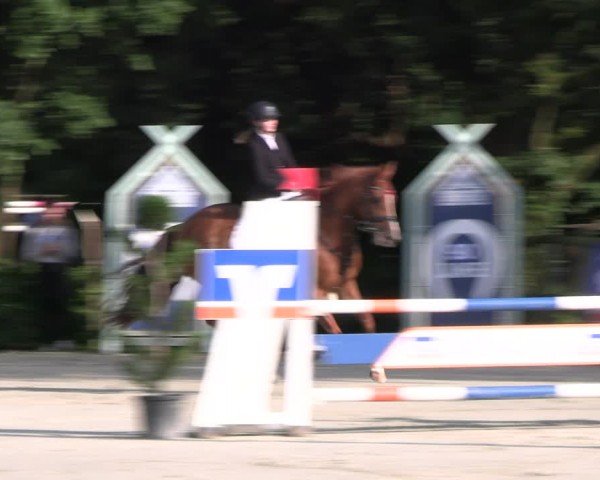 Reitturnier Vlotho-Exter 2024