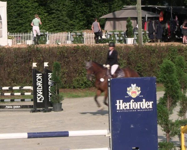 Reitturnier Vlotho-Exter 2024