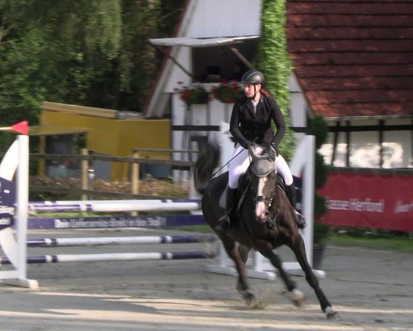 Reitturnier Vlotho-Exter 2024