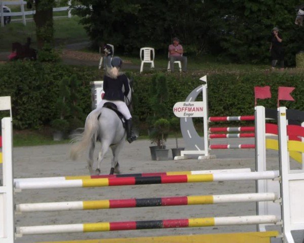 Reitturnier Vlotho-Exter 2024