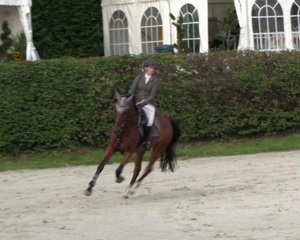 Reitturnier Vlotho-Exter 2024