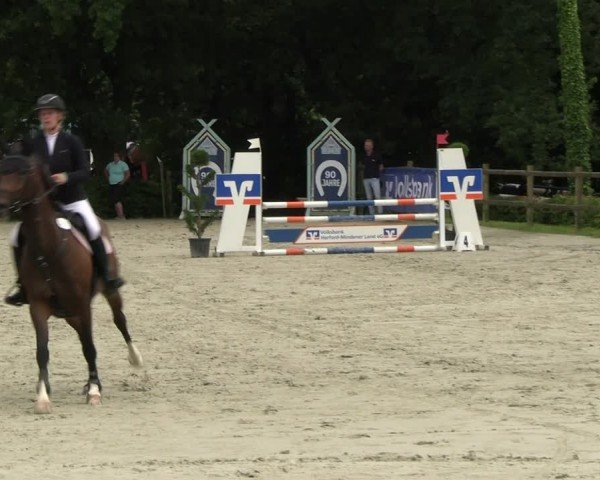 Reitturnier Vlotho-Exter 2024