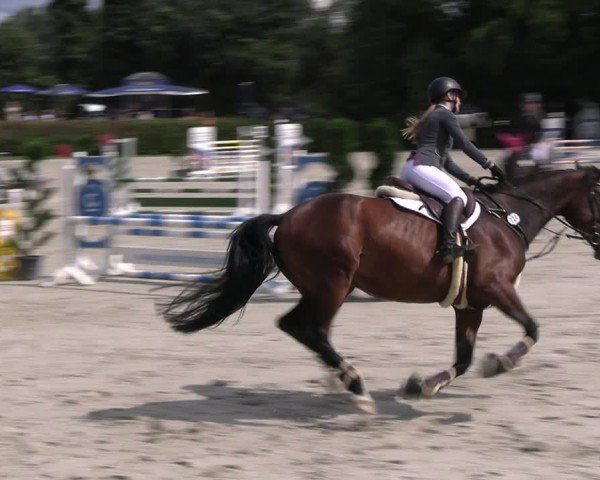 Reitturnier Vlotho-Exter 2024