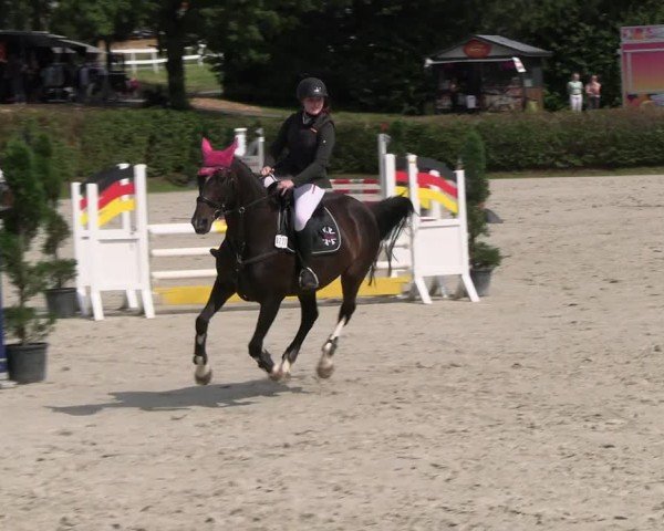 Reitturnier Vlotho-Exter 2024