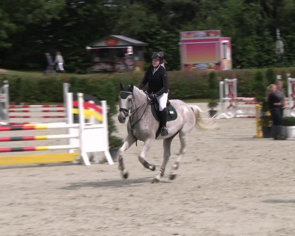 Reitturnier Vlotho-Exter 2024