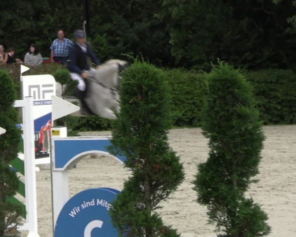 Reitturnier Vlotho-Exter 2024