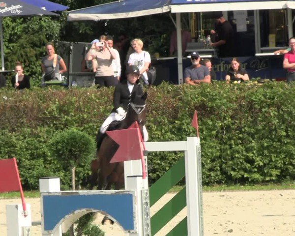 Reitturnier Vlotho-Exter 2024