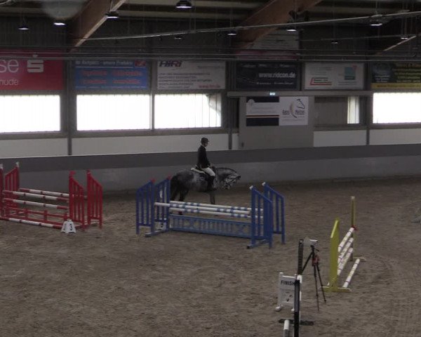 Reitturnier Luhmühlen 2021