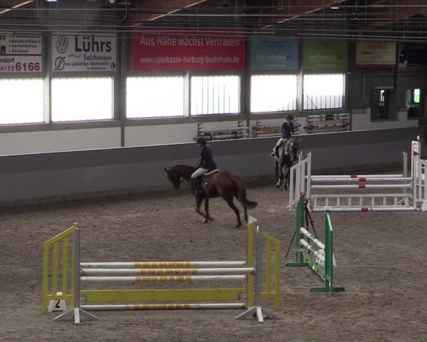 Reitturnier Luhmühlen 2021