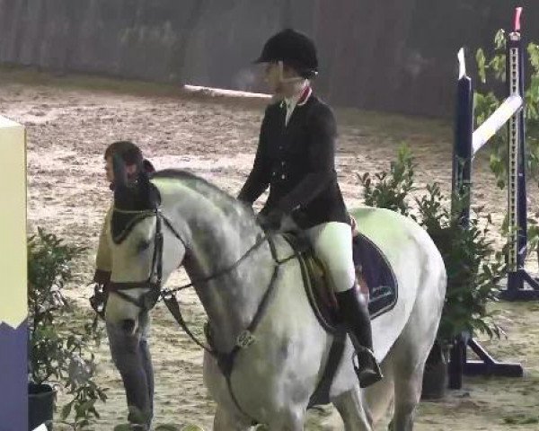 Nationales Hallenspringturnier Sauldorf- Boll 2013
