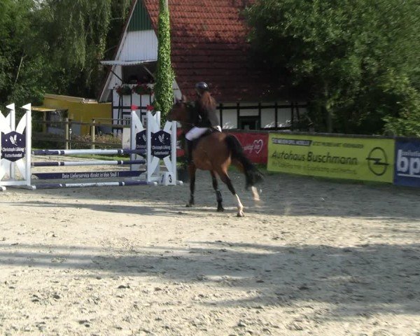 Reitturnier Vlotho-Exter 2024