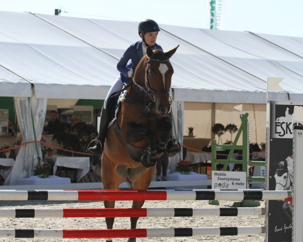 broodmare Lacrima de la Jay (Westphalian, 2008, from Lamoureux I)
