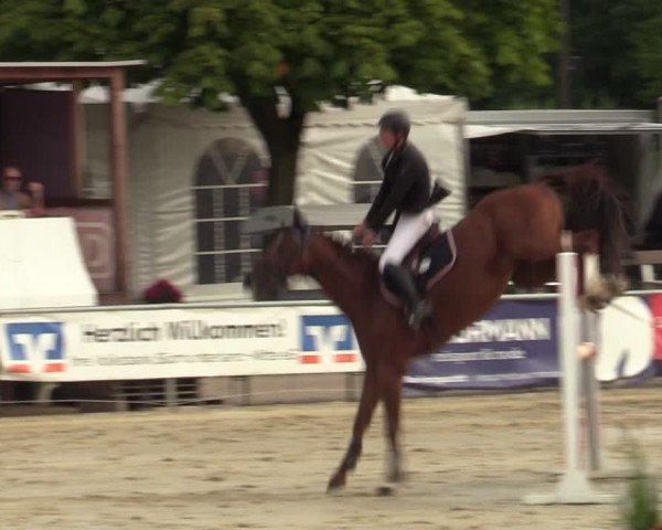 Reitturnier Olfen-Vinnum 2024