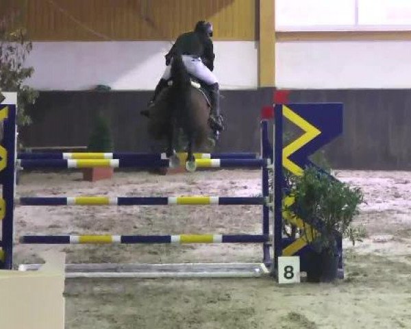 Nationales Hallenspringturnier Sauldorf- Boll 2013