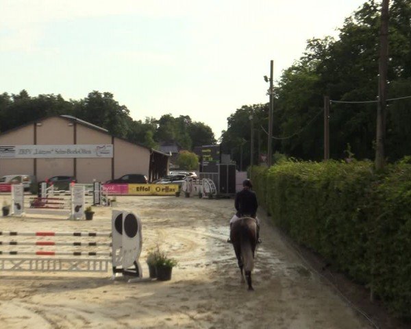 Reitturnier Olfen-Vinnum 2024