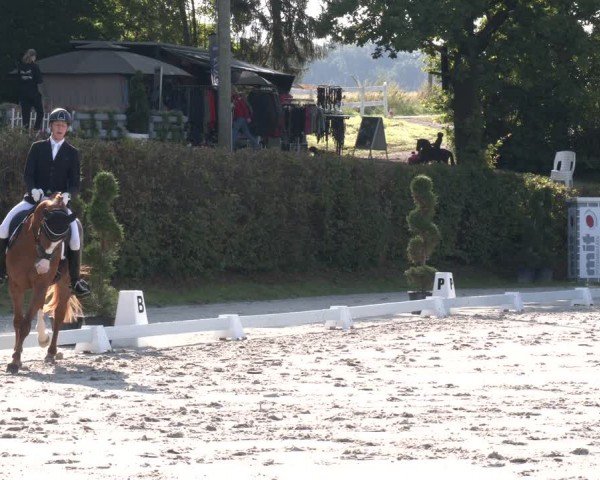 Reitturnier Vlotho-Exter 2024