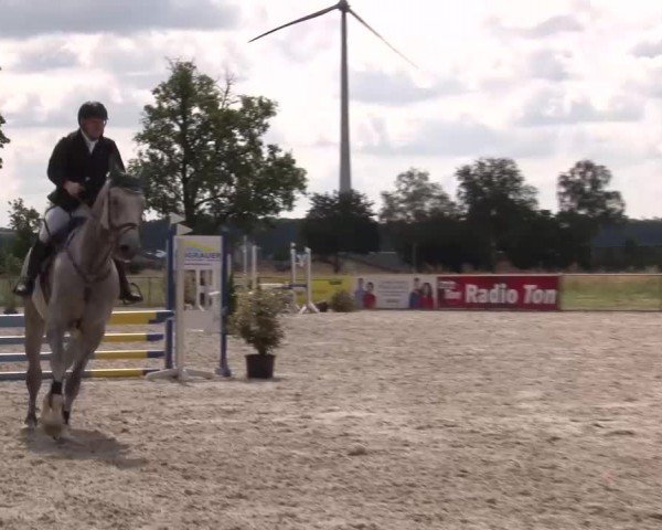 Reitturnier Rot am See Musdorf 2024