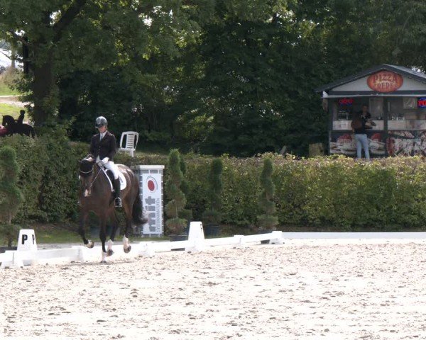 Reitturnier Vlotho-Exter 2024