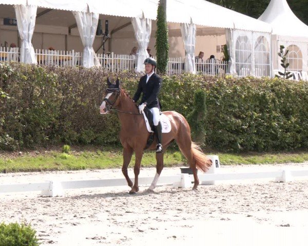 Reitturnier Vlotho-Exter 2024