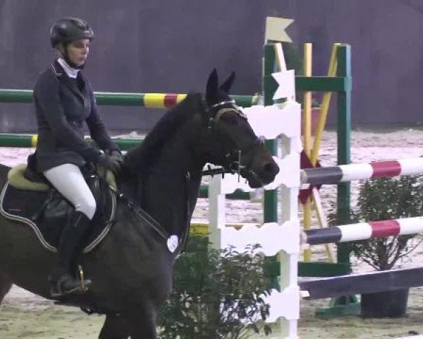 Nationales Hallenspringturnier Sauldorf- Boll 2013