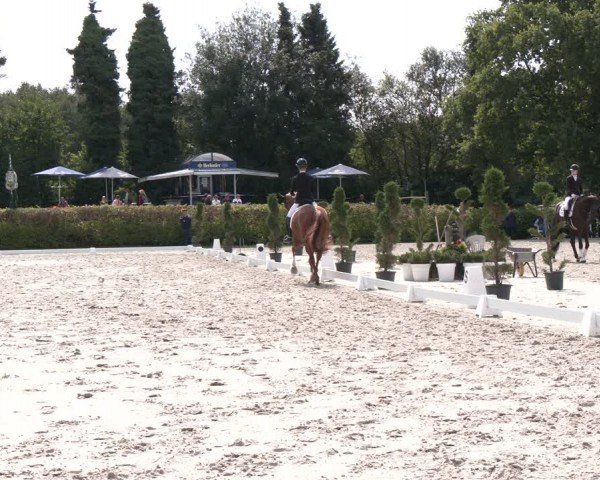 Reitturnier Vlotho-Exter 2024