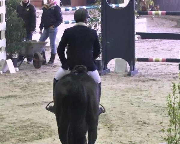 Nationales Hallenspringturnier Sauldorf- Boll 2013