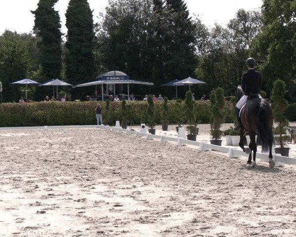 Reitturnier Vlotho-Exter 2024