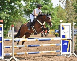 jumper Emilio 109 (Zweibrücken, 2007, from Escudeur)