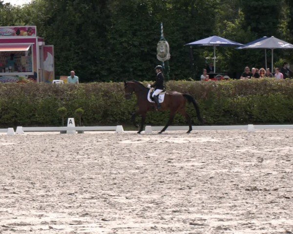 Reitturnier Vlotho-Exter 2024