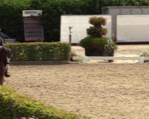 Reitturnier Olfen-Vinnum 2024