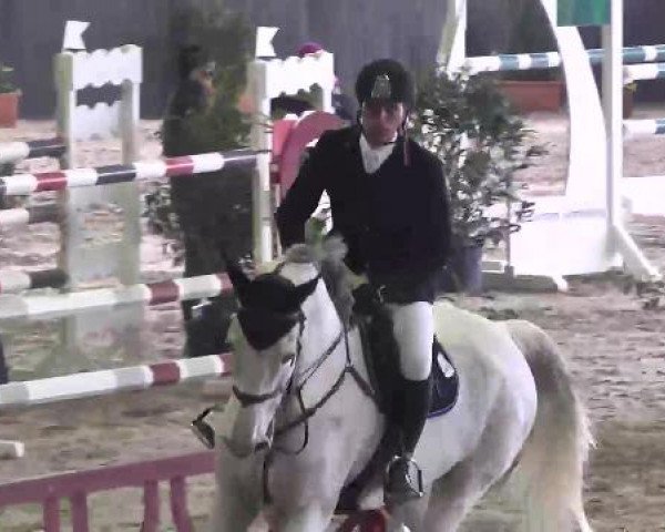 Nationales Hallenspringturnier Sauldorf- Boll 2013