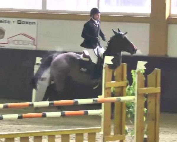 Nationales Hallenspringturnier Sauldorf- Boll 2013