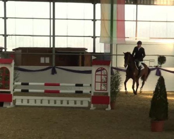 Hallen-Dressur- und Spring-Late-Entry im Reitsportzentrum Gerd Könemann 2013