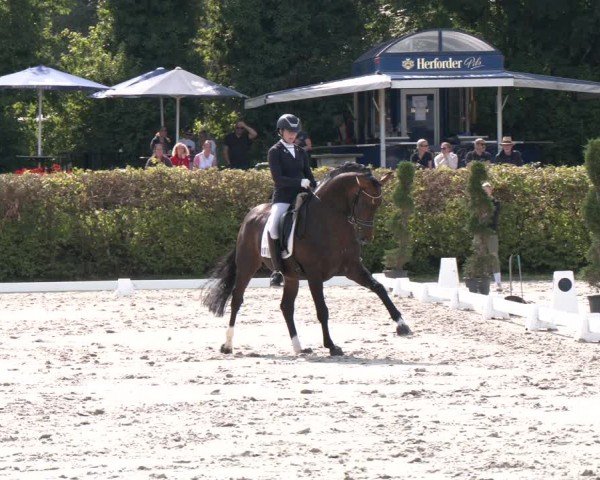 Reitturnier Vlotho-Exter 2024