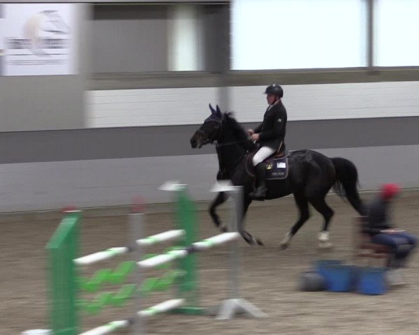 Reitturnier Luhmühlen 2021