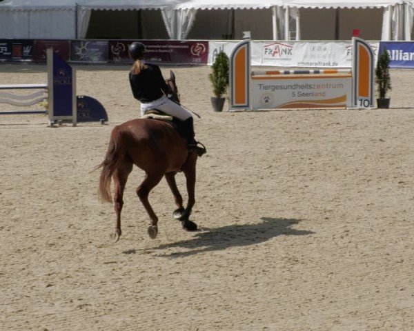 Reitturnier Karlsfeld/Obb. 2024