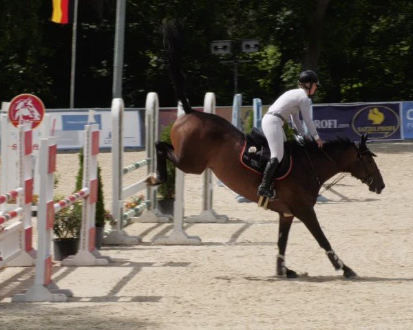 Reitturnier Karlsfeld/Obb. 2024