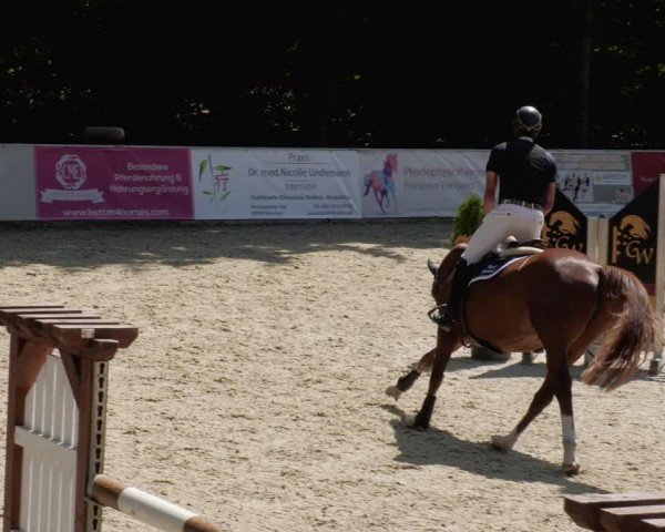 Reitturnier Karlsfeld/Obb. 2024