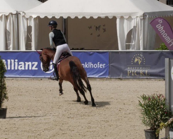Reitturnier Karlsfeld/Obb. 2024