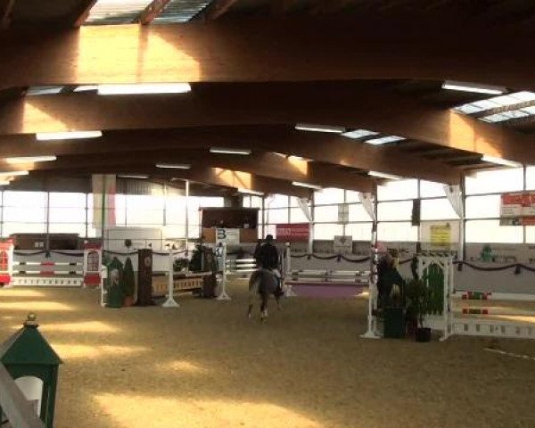 Hallen-Dressur- und Spring-Late-Entry im Reitsportzentrum Gerd Könemann 2013