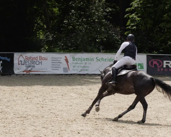 Reitturnier Karlsfeld/Obb. 2024