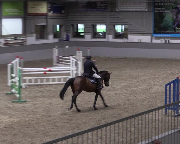 Reitturnier Luhmühlen 2021