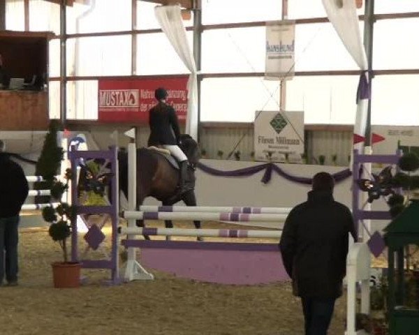 Hallen-Dressur- und Spring-Late-Entry im Reitsportzentrum Gerd Könemann 2013