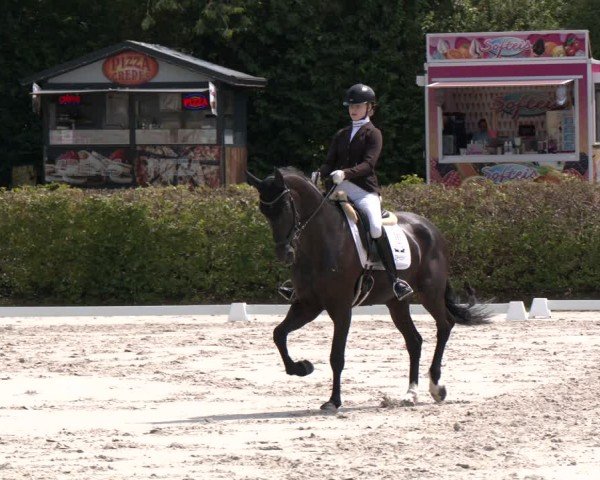 Reitturnier Vlotho-Exter 2024