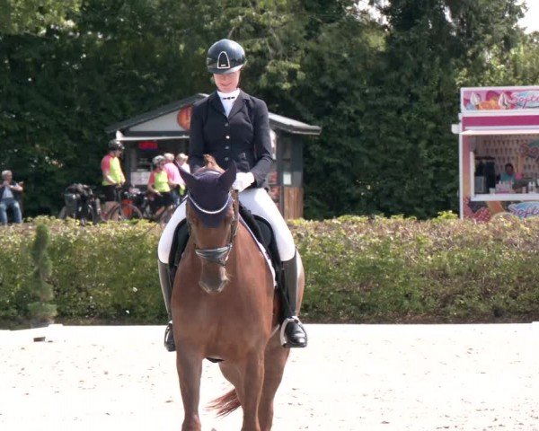 Reitturnier Vlotho-Exter 2024