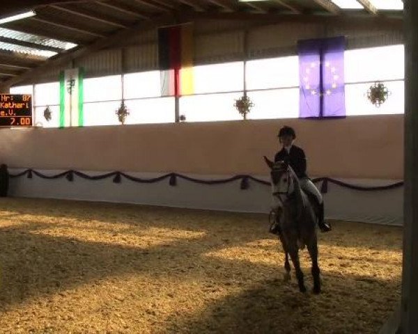 Hallen-Dressur- und Spring-Late-Entry im Reitsportzentrum Gerd Könemann 2013