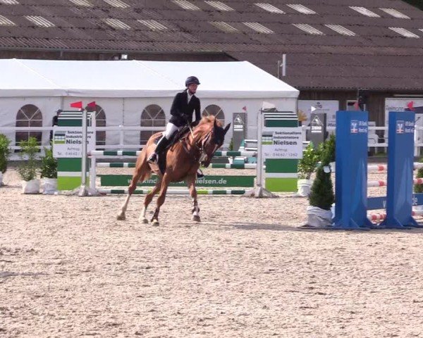 Reitturnier Ladelunder Springtage 2024