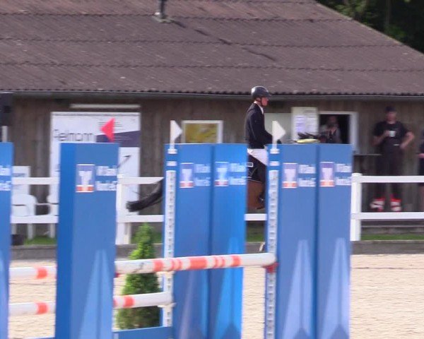 Reitturnier Ladelunder Springtage 2024