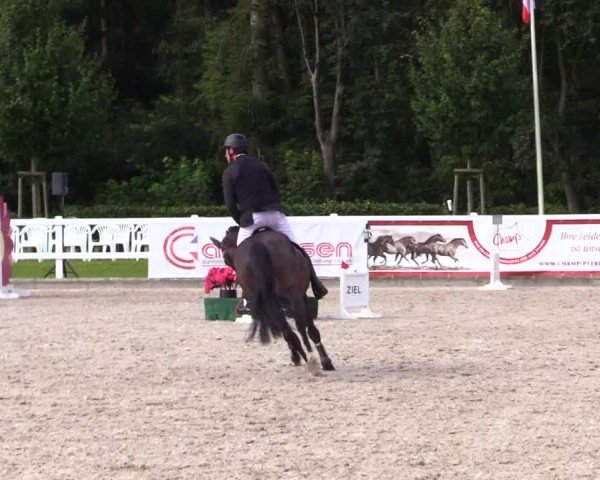 Reitturnier Ladelunder Springtage 2024